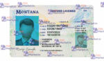 Montana Drivers License Template (Front & Back) - PSDMarket.in