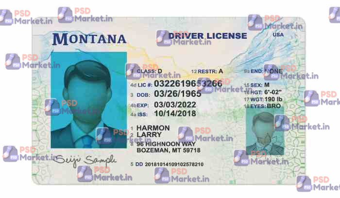Montana Drivers License Template (Front & Back) - PSDMarket.in