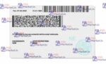 Nebraska Drivers License Template (Front & Back) - PSDMarket.in
