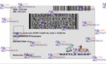 Nevada Drivers License Template (Front & Back) V2 - PSDMarket.in