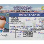 Nevada Drivers License Template (Front & Back) V2 - PSDMarket.in