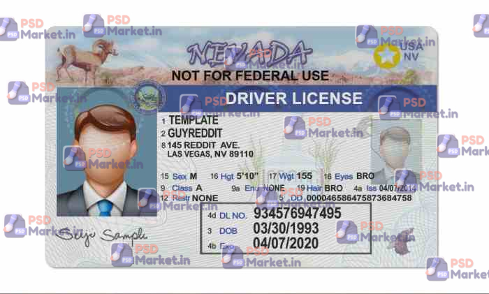 Nevada Drivers License Template (Front & Back) V2 - PSDMarket.in