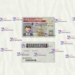 New Jersey Drivers License Template (scan) - PSDMarket.in