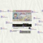 New Mexico Drivers License Template (scan) - PSDMarket.in