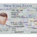 New York Drivers License Template (Front & Back) V2 - PSDMarket.in