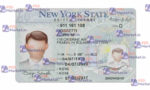 New York Drivers License Template (Front & Back) V2 - PSDMarket.in