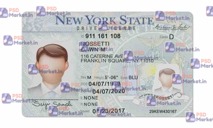 New York Drivers License Template (Front & Back) V2 - PSDMarket.in New York Drivers License Template (Front & Back) V2 - PSDMarket.in