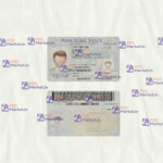New York Drivers License Template (Scan) V2 - PSDMarket.in