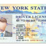 New York Driver's License Template (V1) - PSDMarket.in - With Border