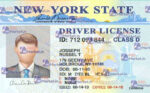 New York Driver's License Template (V1) - PSDMarket.in