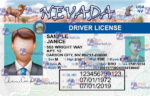 Nevada Drivers License Template V1 - PSDMarket.in