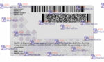 North Carolina Drivers License Template (Front & Back)