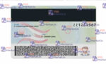 Ohio Drivers License Template (Front & Back) V2 - PSDMarket.in