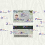 Ohio Drivers License Template (scan) V2 - PSDMarket.in