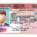 Ohio Drivers License Template (V1) - PSDMarket.in