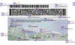 Oregon Drivers License Template (Front & Back) - PSDMarket.in