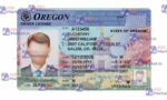 Oregon Drivers License Template (Front & Back) - PSDMarket.in