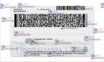 Pennsylvania Drivers License Template (Front & Back) - PSDMarket.in