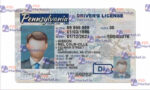 Pennsylvania Drivers License Template (Front & Back) - PSDMarket.in