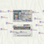 Pennsylvania Drivers License Template (scan) - PSDMarket.in