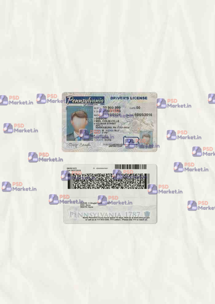 Pennsylvania Drivers License Template (scan) - PSDMarket.in Pennsylvania Drivers License Template (scan) - PSDMarket.in