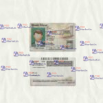 Rhode Island Drivers License Template (scan) - PSDMarket.in