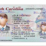 South Carolina Drivers License Template (Front & Back) V2 - PSDMarket.in