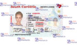 South Carolina Drivers License Template - PSDMarket.in