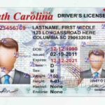 South Carolina Drivers License Template (V1) - PSDMarket.in