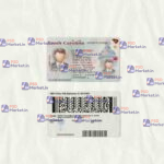 South Carolina Drivers License Template (scan) V2 - PSDMarket.in