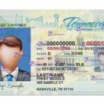 Tennessee Drivers License Template (Front & Back) V2 - PSDMarket.in