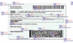 Tennessee Drivers License Template (V1) - PSDMarket.in