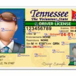 Tennessee Drivers License Template (V1) - PSDMarket.in