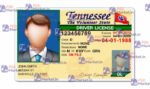 Tennessee Drivers License Template (V1) - PSDMarket.in