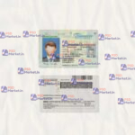 Tennessee Drivers License Template (scan) V2 - PSDMarket.in