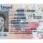 Texas Drivers License Template (Front & Back) V2 - PSDMarket.in