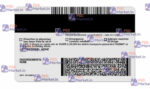Texas Drivers License Template - Updated - PSDMarket.in