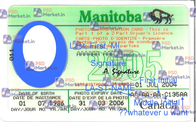 Canada Manitoba Drivers License Template - PSDMarket.in