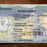 Vermont Drivers License Template (NEW) - (Bundel) - PSDMarket.in