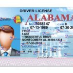 Alabama Drivers License Template ( V1) - PSDMarket.in
