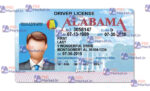 Alabama Drivers License Template ( V1) - PSDMarket.in