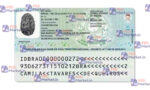 Brazil ID Card Template (Front & Back) - PSDMarket.in