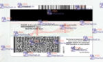 California Drivers License Template (Front & Back) V1 - PSDMarket.in