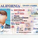 California Drivers License Template (Front & Back) V1 - PSDMarket.in