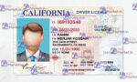California Drivers License Template (Front & Back) V1 - PSDMarket.in
