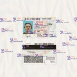 California Drivers License Template (scan) V1 - PSDMarket.in