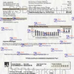 California Utility Bill Template - PSDMarket.in