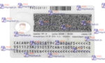 Canada ID Card Template (Front & Back) - PSDMarket.in