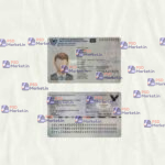 Cyprus ID Card Template (scan) - PSDMarket.in