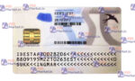 Estonia ID Card Template (Front & Back) V1 - PSDMarket.in
